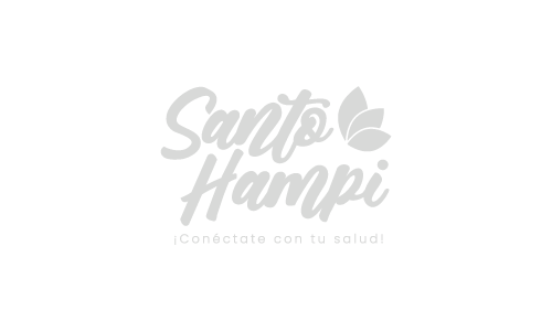 Logotipo - Branding Santo hampi
