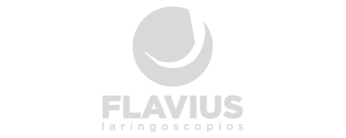 Logotipo - Branding Flavius