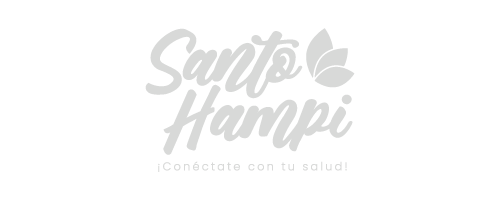 Logotipo - Branding Santo hampi
